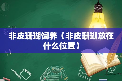 非皮珊瑚饲养（非皮珊瑚放在什么位置）