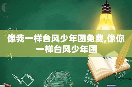 像我一样台风少年团免费,像你一样台风少年团