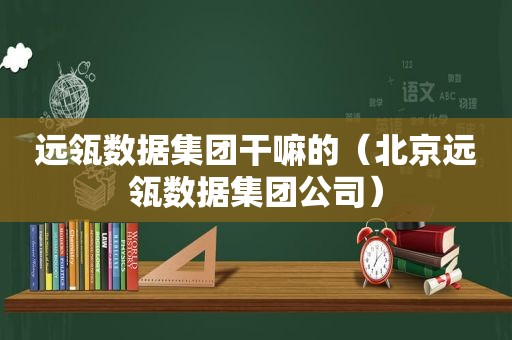 远瓴数据集团干嘛的（北京远瓴数据集团公司）