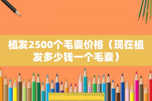 植发2500个毛囊价格（现在植发多少钱一个毛囊）