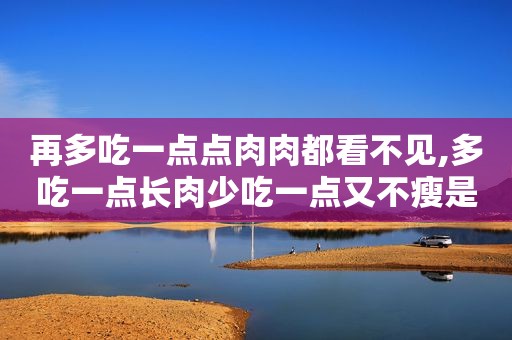 再多吃一点点肉肉都看不见,多吃一点长肉少吃一点又不瘦是什么歌