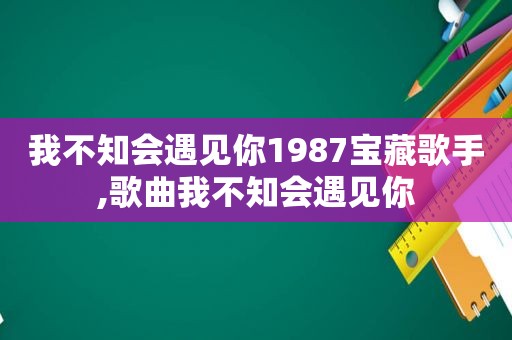 我不知会遇见你1987宝藏歌手,歌曲我不知会遇见你