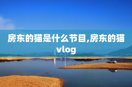 房东的猫是什么节目,房东的猫vlog