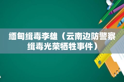  *** 缉毒李雄（云南边防警察缉毒光荣牺牲事件）