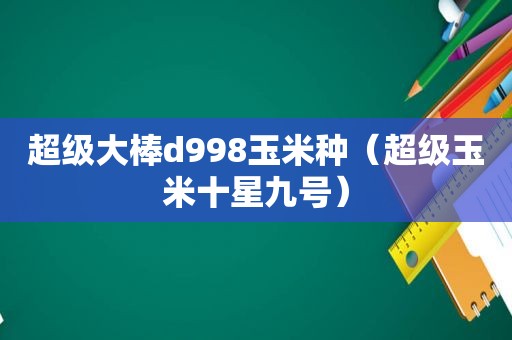 超级大棒d998玉米种（超级玉米十星九号）