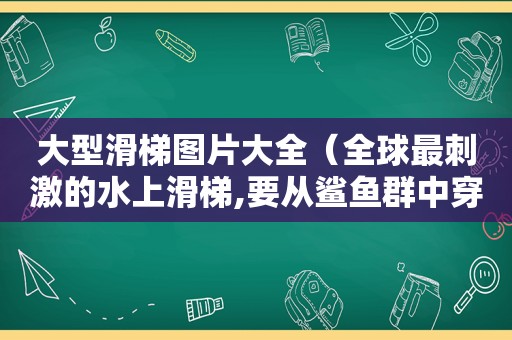 大型滑梯图片大全（全球最 *** 的水上滑梯,要从鲨鱼群中穿过,太好玩了）