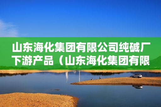 山东海化集团有限公司纯碱厂下游产品（山东海化集团有限公司纯碱厂福利怎么样）