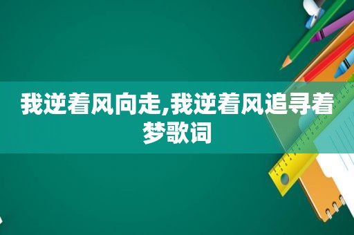 我逆着风向走,我逆着风追寻着梦歌词