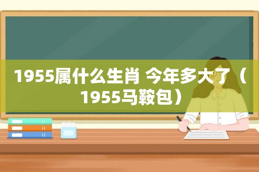 1955属什么生肖 今年多大了（1955马鞍包）