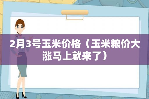 2月3号玉米价格（玉米粮价大涨马上就来了）