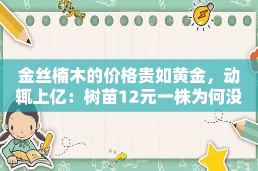 金丝楠木的价格贵如黄金，动辄上亿：树苗12元一株为何没人种植？