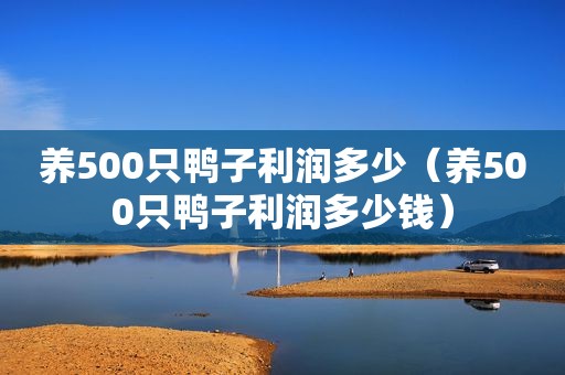 养500只鸭子利润多少（养500只鸭子利润多少钱）