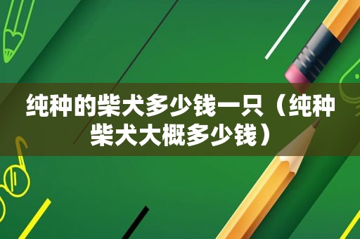 纯种的柴犬多少钱一只（纯种柴犬大概多少钱）