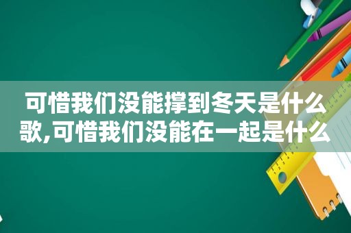 可惜我们没能撑到冬天是什么歌,可惜我们没能在一起是什么歌