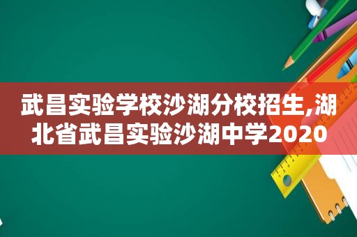 武昌实验学校沙湖分校招生,湖北省武昌实验沙湖中学2020