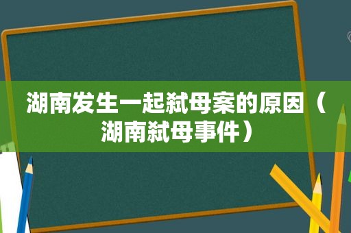 湖南发生一起弑母案的原因（湖南弑母事件）