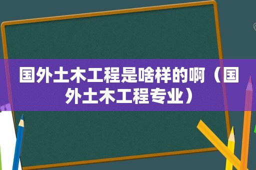 国外土木工程是啥样的啊（国外土木工程专业）