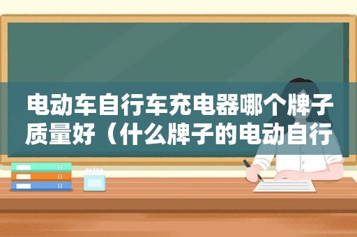 电动车自行车充电器哪个牌子质量好（什么牌子的电动自行车充电器好）