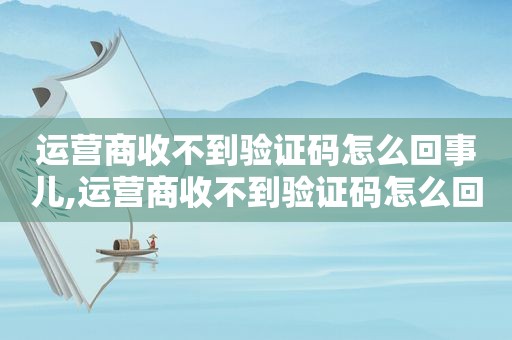 运营商收不到验证码怎么回事儿,运营商收不到验证码怎么回事呀