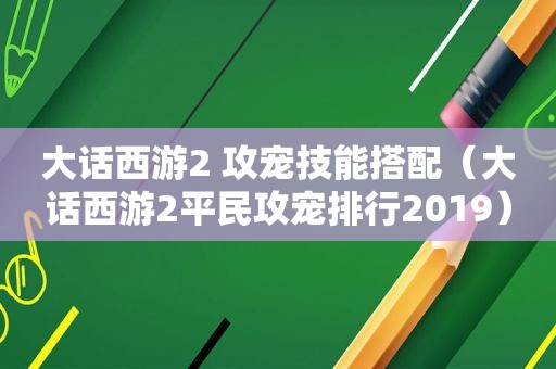 大话西游2 攻宠技能搭配（大话西游2平民攻宠排行2019）