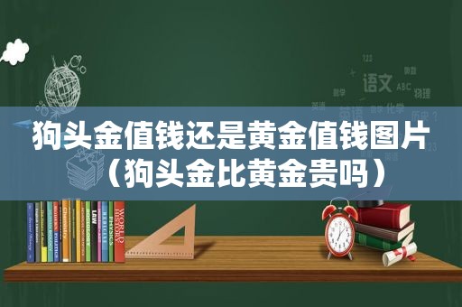 狗头金值钱还是黄金值钱图片（狗头金比黄金贵吗）