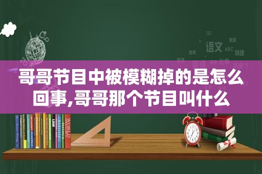 哥哥节目中被模糊掉的是怎么回事,哥哥那个节目叫什么