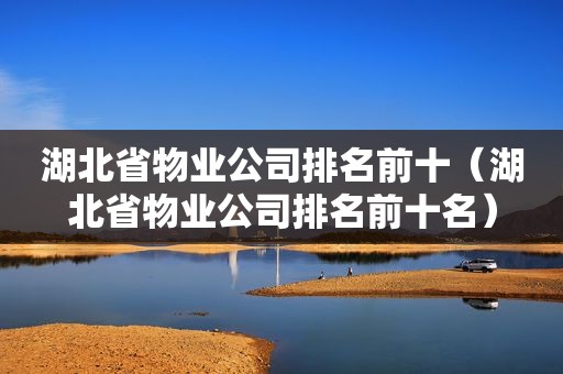 湖北省物业公司排名前十（湖北省物业公司排名前十名）