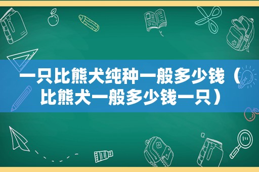 一只比熊犬纯种一般多少钱（比熊犬一般多少钱一只）