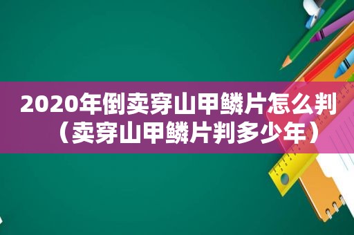 2020年倒卖穿山甲鳞片怎么判（卖穿山甲鳞片判多少年）