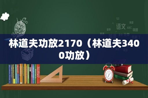 林道夫功放2170（林道夫3400功放）