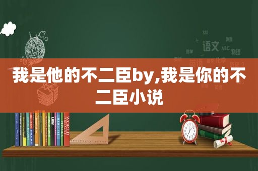 我是他的不二臣by,我是你的不二臣小说