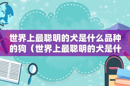 世界上最聪明的犬是什么品种的狗（世界上最聪明的犬是什么品种犬）