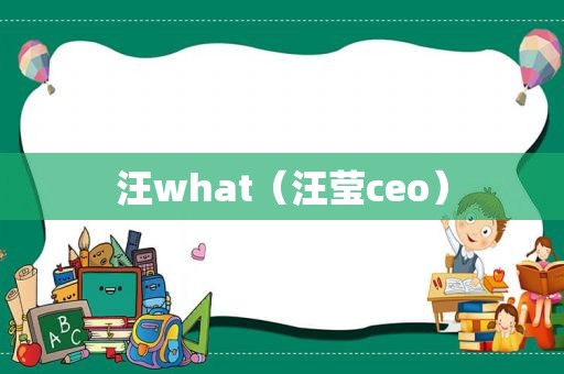 汪what（汪莹ceo）