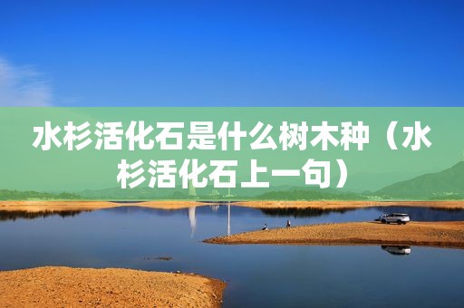 水杉活化石是什么树木种（水杉活化石上一句）