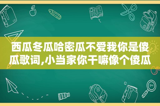 西瓜冬瓜哈密瓜不爱我你是傻瓜歌词,小当家你干嘛像个傻瓜歌词