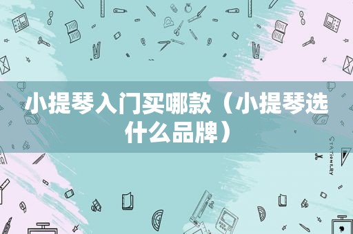 小提琴入门买哪款（小提琴选什么品牌）