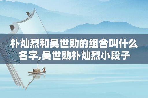 朴灿烈和吴世勋的组合叫什么名字,吴世勋朴灿烈小段子