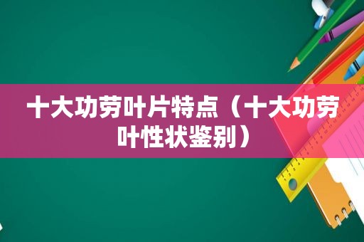 十大功劳叶片特点（十大功劳叶性状鉴别）