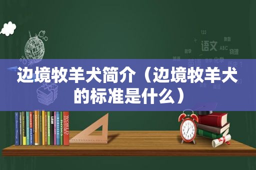 边境牧羊犬简介（边境牧羊犬的标准是什么）