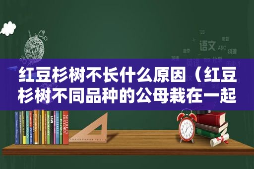 红豆杉树不长什么原因（红豆杉树不同品种的公母栽在一起能结果吗?）