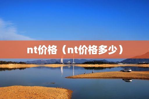 nt价格（nt价格多少）