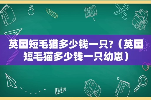 英国短毛猫多少钱一只?（英国短毛猫多少钱一只幼崽）