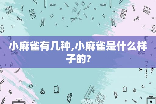 小麻雀有几种,小麻雀是什么样子的?