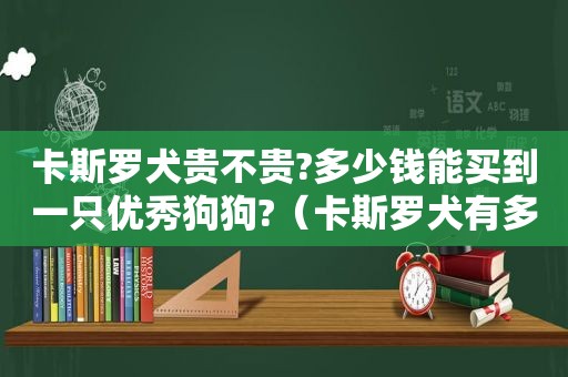 卡斯罗犬贵不贵?多少钱能买到一只优秀狗狗?（卡斯罗犬有多厉害视频）