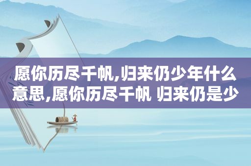 愿你历尽千帆,归来仍少年什么意思,愿你历尽千帆 归来仍是少年中的好句