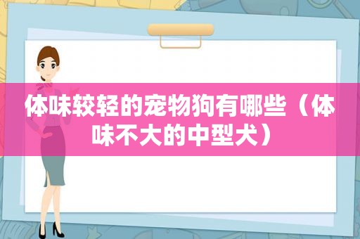 体味较轻的宠物狗有哪些（体味不大的中型犬）