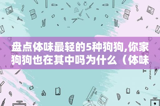 盘点体味最轻的5种狗狗,你家狗狗也在其中吗为什么（体味最轻的狗狗排行榜）