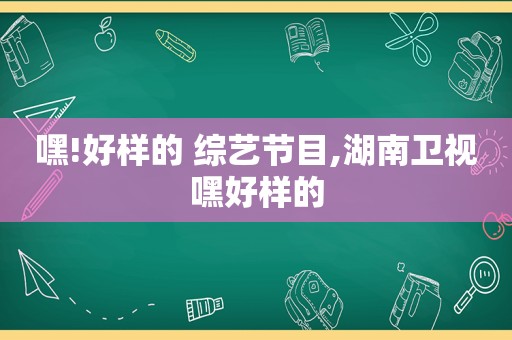 嘿!好样的 综艺节目,湖南卫视嘿好样的