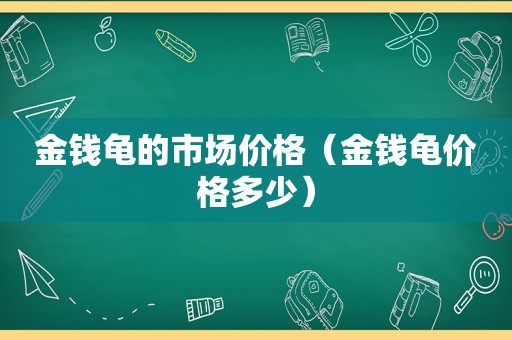 金钱龟的市场价格（金钱龟价格多少）