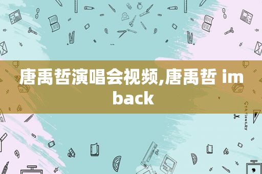 唐禹哲演唱会视频,唐禹哲 im back